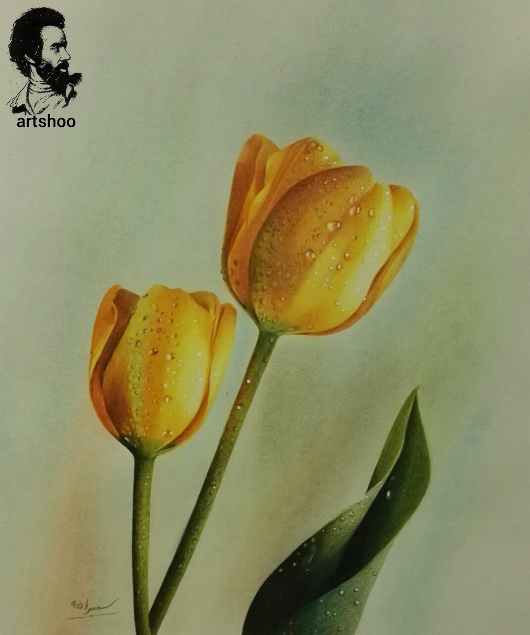 نقاشی مدادرنگی